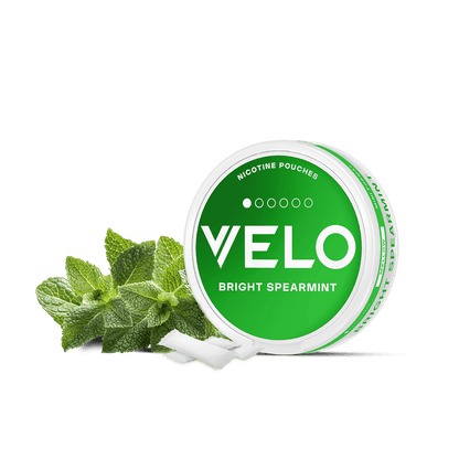 Un envase blanco redondo de VELO Bright Spearmint se encuentra junto a hojas de menta verde fresca, con varias bolsitas de nicotina de menta blanca expuestas delante.