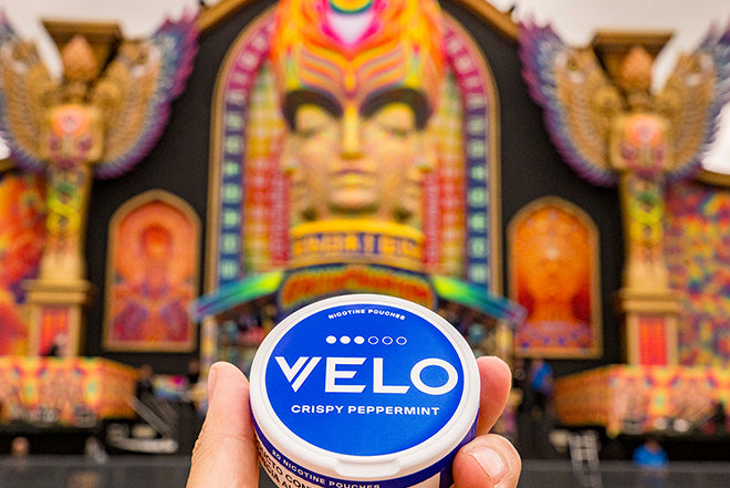 Una mano sostiene un recipiente redondo azul con la etiqueta VELO Crispy Peppermint delante de un colorido y ornamentado escenario de festival con una gran cara estilizada y vibrantes decoraciones aladas.