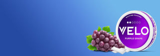 Se muestra un envase redondo de bolsitas de nicotina VELO Purple Grape junto a un racimo de uvas moradas con hojas verdes sobre un fondo azul degradado.