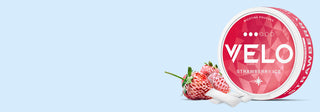 Junto a fresas frescas y dos sobres de nicotina blancos, sobre un fondo azul claro, se encuentra un envase redondo de nicotina VELO Strawberry Ice de color rojo y blanco.