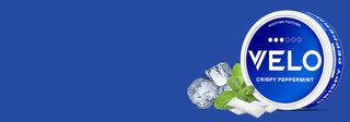 Un envase redondo de bolsitas de nicotina VELO Crispy Peppermint sobre fondo azul, junto a cubitos de hielo, hojas de menta y trocitos de hierbabuena.