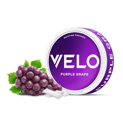 Una lata redonda de color púrpura con la etiqueta VELO Purple Grape y texto en blanco se sitúa junto a un racimo de uvas dulces y varias bolsitas blancas de nicotina, destacando su sabor afrutado a nicotina, sobre un fondo blanco.