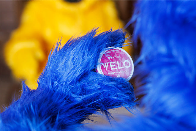 Una mano con un guante de peluche azul brillante sostiene un recipiente redondo con la etiqueta VELO Watermelon Ice. Una persona vestida de amarillo aparece borrosa en el fondo.