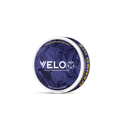 La lata VELO Tomorrowland Mango Ice presenta un diseño floral azul, texto en blanco y el logotipo dorado de Tomorrowland en la tapa. Disfruta de una experiencia de nicotina con texto amarillo sobre fondo azul oscuro.