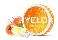 El envase redondo de nicotina VELO Tropical se presenta con un vibrante diseño naranja y amarillo, junto a una rodaja de piña, un coco y una palmera, evocando un tema tropical.
