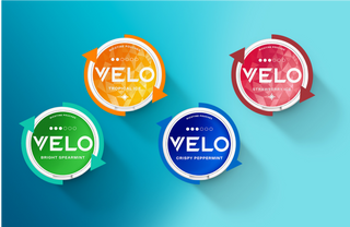 Los cuatro envases redondos de nicotina VELO -Tropical Ice (naranja), Strawberry Ice (rojo), Bright Spearmint (verde) y Crispy Peppermint (azul)- se muestran sobre un fondo azul degradado.