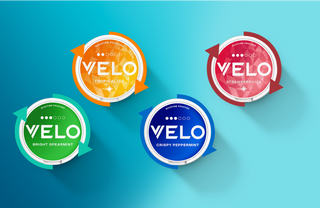 Sobre un fondo azul degradado se muestran cuatro envases redondos de bolsa de nicotina VELO. Los sabores mostrados son Tropical Ice (naranja), Strawberry Ice (rojo), Bright Spearmint (verde) y Crispy Peppermint (azul).